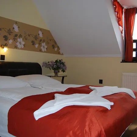 ホテル Adler Hotel & Restaurant 3*