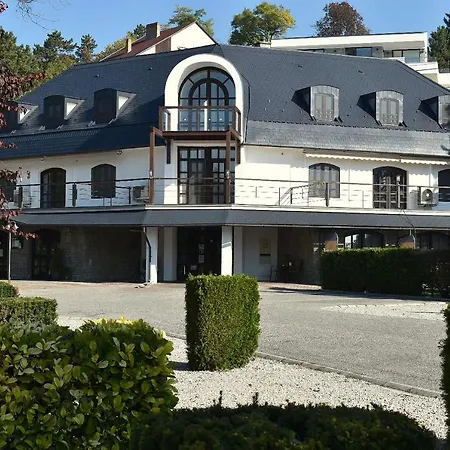 Adler Hotel & Restaurant ホテル ティハニ