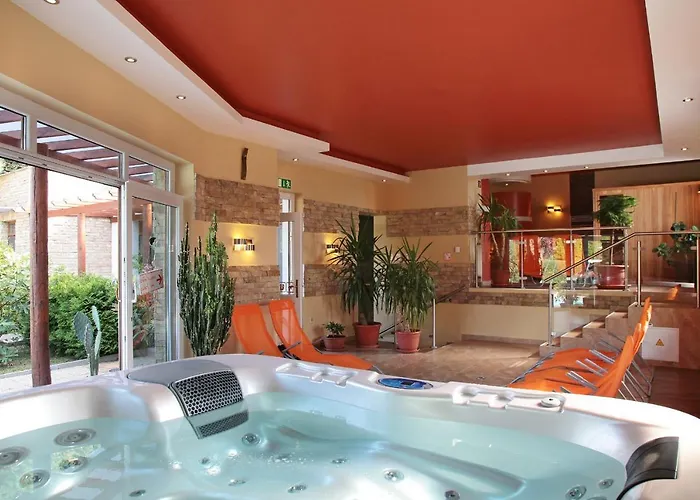 ホテル Adler & Wellness ティハニ